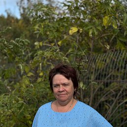 , 55, 