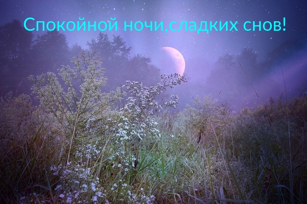   ,    . - 2  2025  21:58