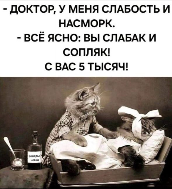 ������ - 14 ������� 2025 � 15:27