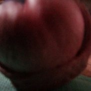 , 51 , 
