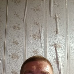 , 44, 