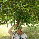 ���� �������, �������, 63 ���� - ��������� 21 ������� 2025 � ������ ���� ����������