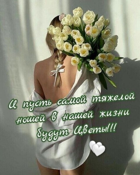 ₪╬═►  ||  ||  ◄═╬₪ - 13  2024  06:52