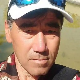 ����, �����-���������, 49 ���