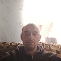 , 39, 