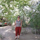  Natasha, , 69  -  26  2025    