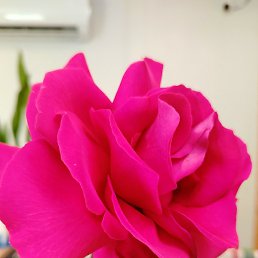 Фото Юлия, Санкт-Петербург Юлия, Санкт-Петербург