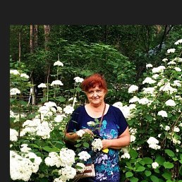 Galina, 63, 