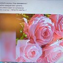 ���� ����, ������ - ��������� 5 ������� 2025 � ������ ���� ����������