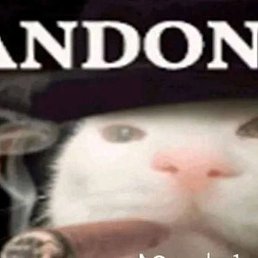 , , 20 