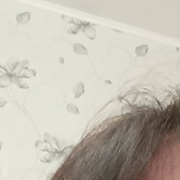 �����, ��������, 53 ����