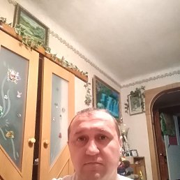 ������, 46 ���, ����