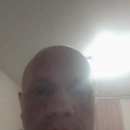 , 41, 