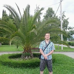 ���������, ���������, 40 ���