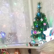 ����, 60 ���, ������