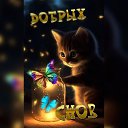 ���� ��������, ����, 51 ��� - ��������� 17 ������ 2024 � ������ ���� ����������
