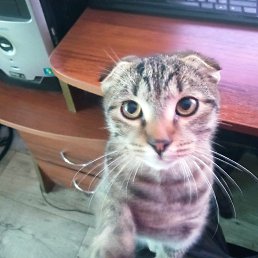 ���� ����, ������, 37 ��� - ��������� 19 ����� 2026