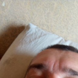 , , 44 