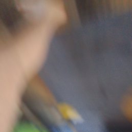 ���� ������ �����, �����-���������, 21 ��� - ��������� 10 ������ 2024