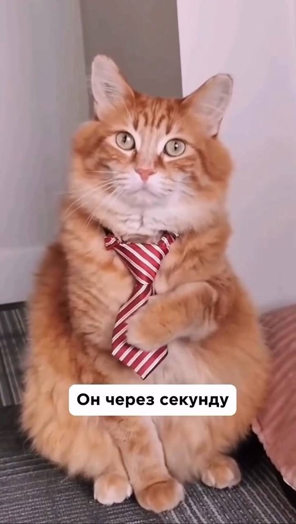     : - 2