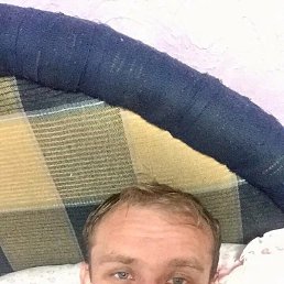 ���� �������, ������, 40 ��� - ��������� 1 ������ 2024