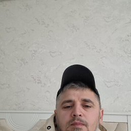 �����, 41 ���, ������