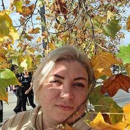 ����, 37 ���, ���������