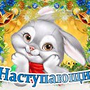 ���� ������, ������, 52 ���� - ��������� 7 ������ 2025 � ������ ���� ����������