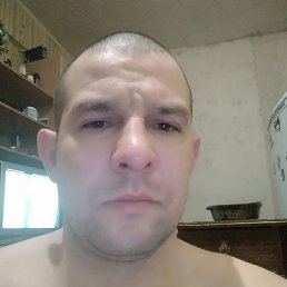 ����, ������, 41 ���