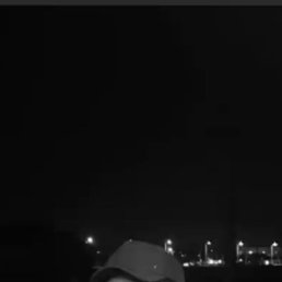 �������� �����, �����������, 21 ���