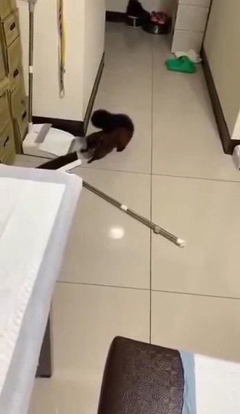 ����� ����� �� ������