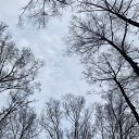 ���� �����, ������ - ��������� 16 ������ 2026 � ������ ������ ��������