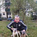 ���� ��������, �����, 57 ��� - ��������� 26 ������� 2024 � ������ ���� ����������