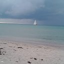 ���� �������, ������, 43 ���� - ��������� 4 ���� 2025 � ������ ���� ����������