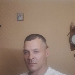 ���� �����, ���������, 48 ��� - ��������� 12 ������ 2023