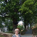 ���� �����, ����, 49 ��� - ��������� 15 ����� 2025