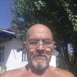 , 62, 