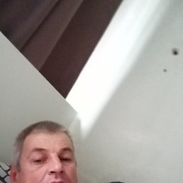 , 42, 