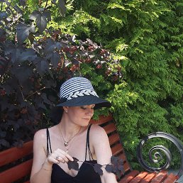 ���� ������, ������� - ��������� 29 ������� 2025