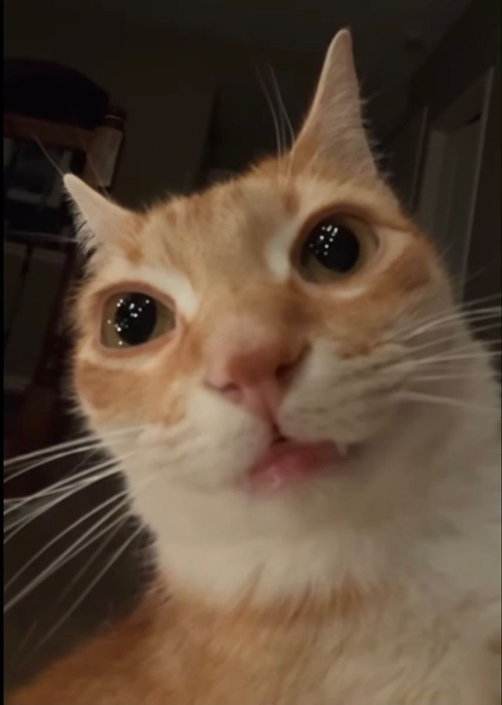 ��� � ��� ������� - 2