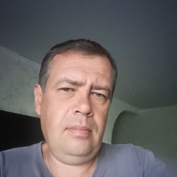 , 37, 