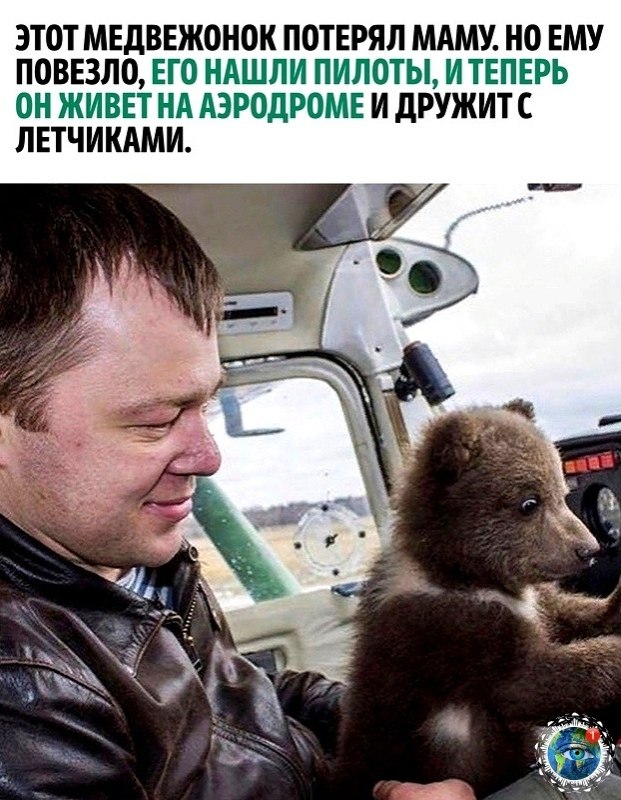 aec  aa oac oa ce