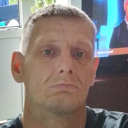 �����, �����, 44 ����