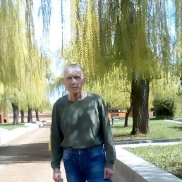 , 61, 
