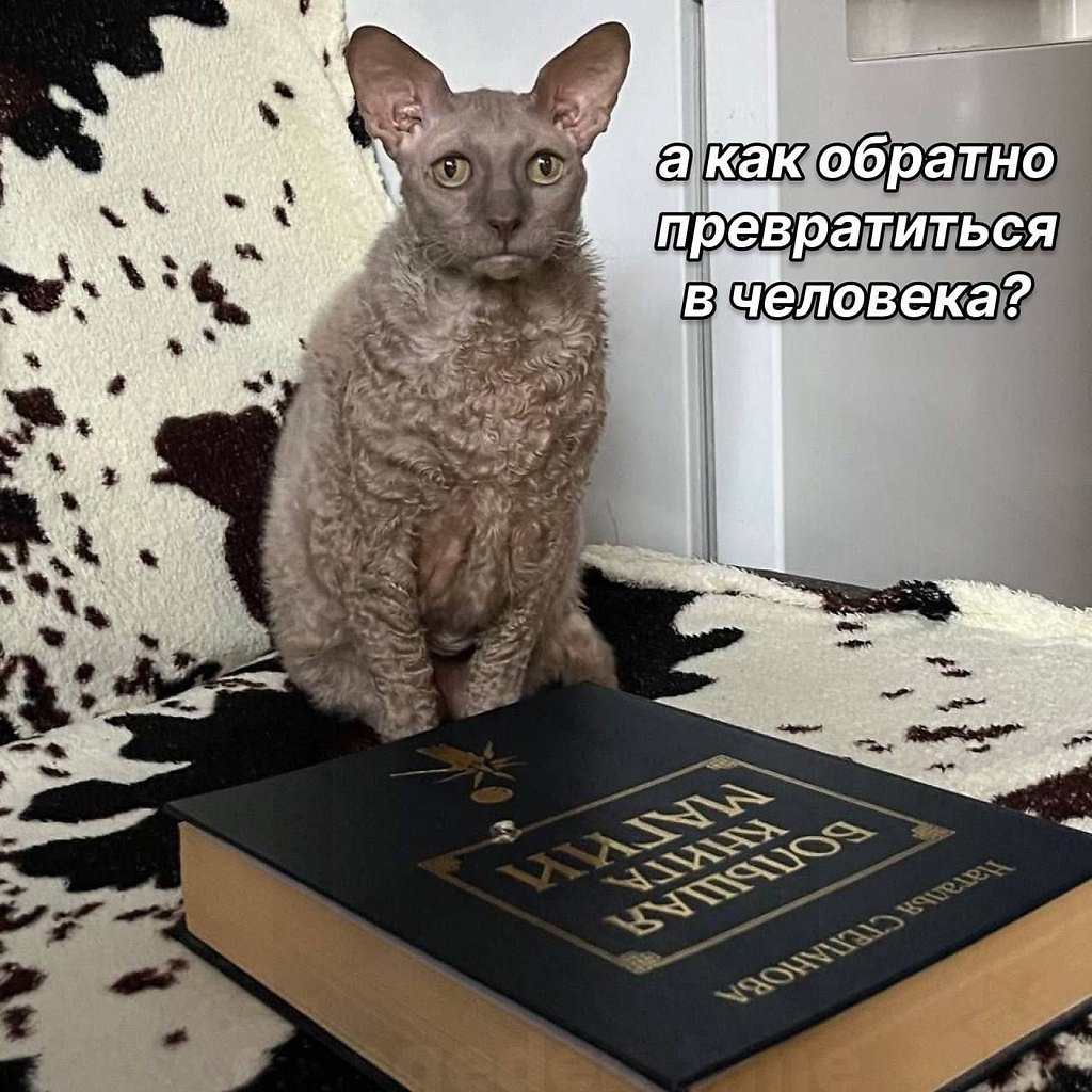  - 2