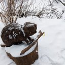 ���� ���������, ������������ - ��������� 28 ������ 2025 � ������ ���� ����������