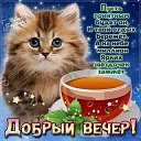 ���� ������, �����, 60 ��� - ��������� 29 ������ 2024 � ������ ���� ����������