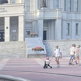 Nata, �����, 49 ���
