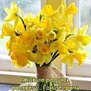 ���� ������, ��������� - ��������� 4 ������ 2026 � ������ ���� ����������