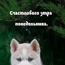 ���� ������, ������, 59 ��� - ��������� 8 ����� 2024 � ������ ���� ����������